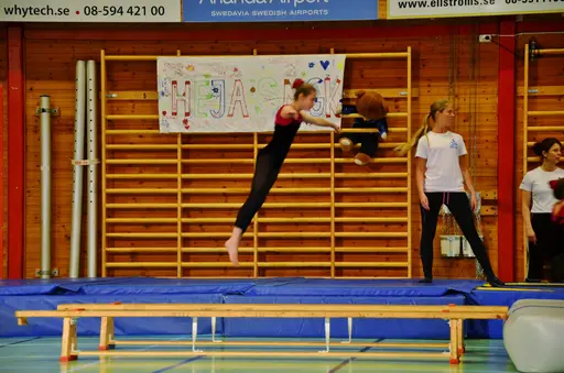 Fotograf Elin Eriksson Gala 2012