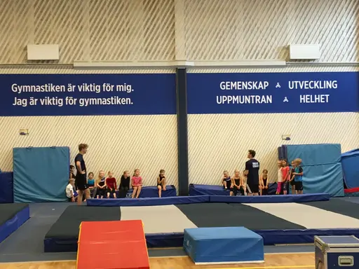 Härliga gymnaster med massor av positiv energi