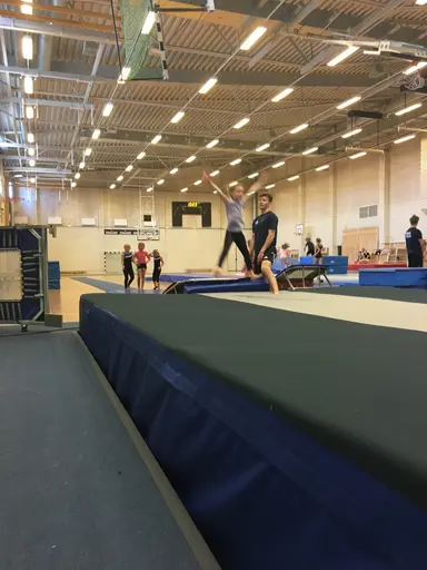 Härliga gymnaster med massor av positiv energi