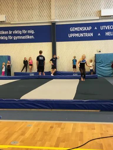 Härliga gymnaster med massor av positiv energi