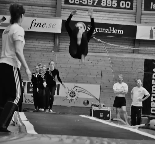 Fotograf Elin Eriksson Gala 2012