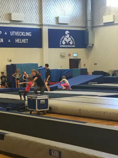 Härliga gymnaster med massor av positiv energi