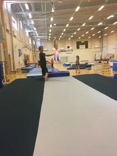Härliga gymnaster med massor av positiv energi