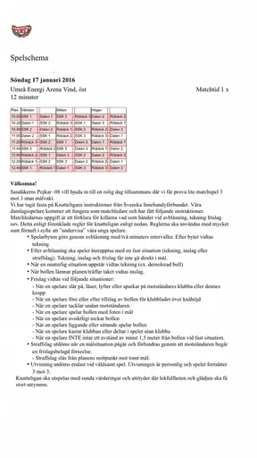 Spelschema och instruktioner