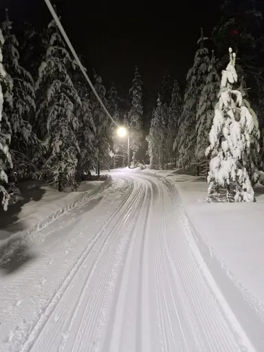 Flurkmarks Skidspår