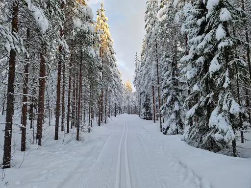 Flurkmarks Skidspår