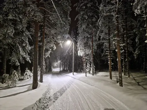 Flurkmarks Skidspår