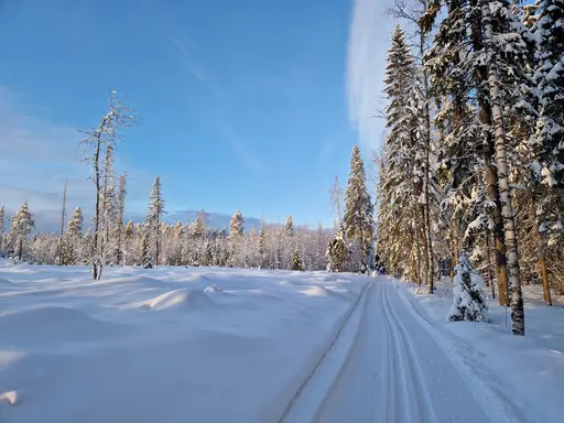 Flurkmarks Skidspår