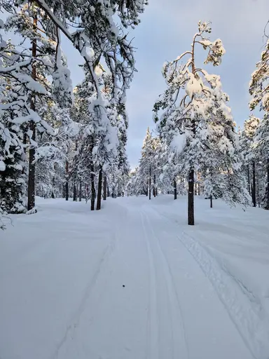 Flurkmarks Skidspår