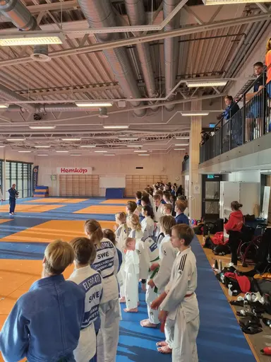 Blandade bilder från den roliga RM helgen