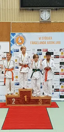 Blandade bilder från Judodraget i Färglanda