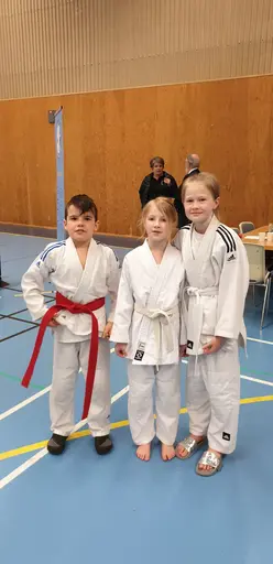 Bilder från den grymma dagen i Dalsland