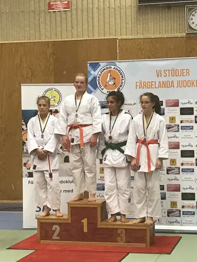 Blandade bilder från Judodraget i Färglanda