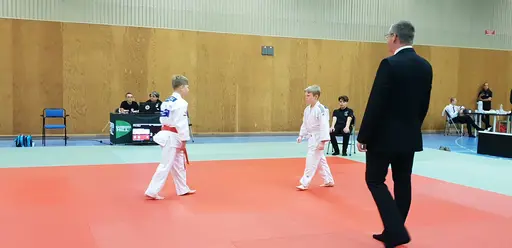 Blandade bilder från Judodraget i Färglanda