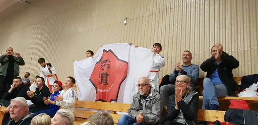 Blandade bilder från Judodraget i Färglanda