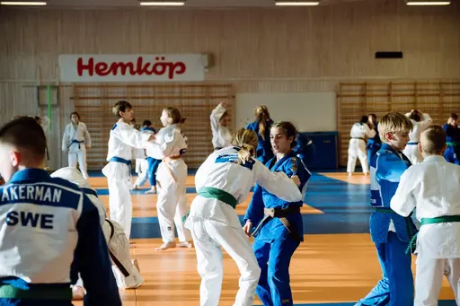 Blandade bilder från den roliga RM helgen