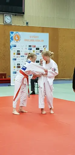 Blandade bilder från Judodraget i Färglanda