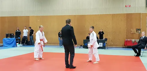 Blandade bilder från Judodraget i Färglanda