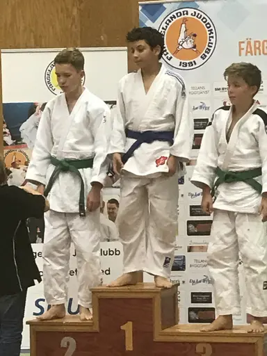 Blandade bilder från Judodraget i Färglanda