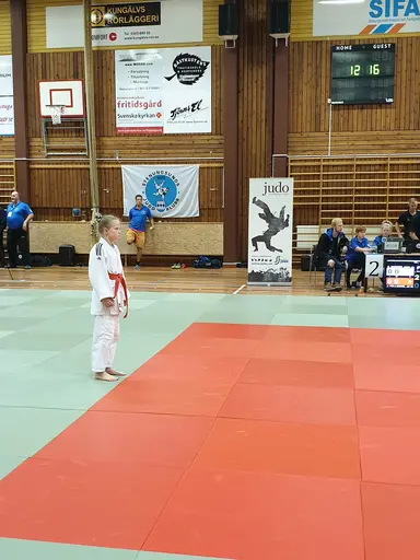 Blandade bilder från tävlingsdagen