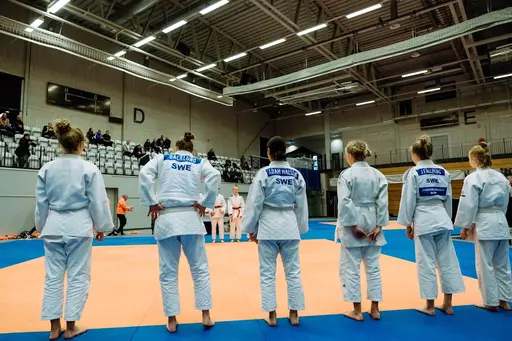 Blandade bilder från den roliga RM helgen