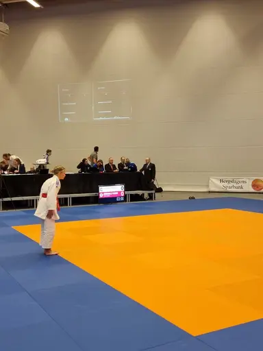 Blandade bilder från den roliga RM helgen