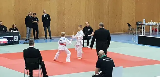 Blandade bilder från Judodraget i Färglanda