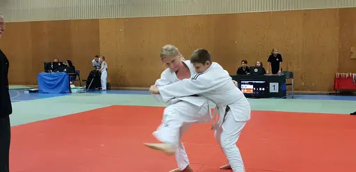 Blandade bilder från Judodraget i Färglanda