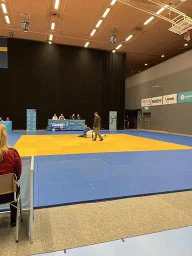 Blandade bilder från SM helgen i Trollhättan. Foto: Magnus Nilsson, Emelie Cegrell samt medlemmar från JK Budo.