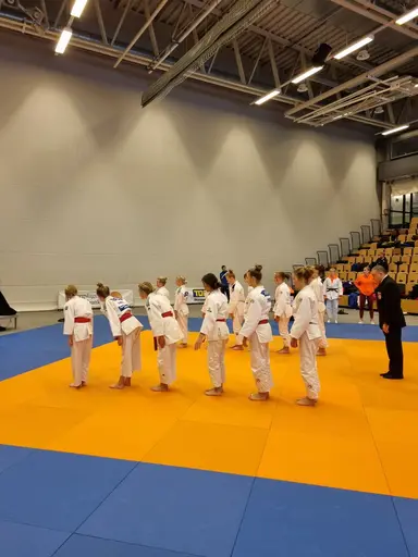 Blandade bilder från den roliga RM helgen