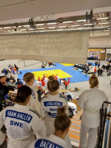 Blandade bilder från den roliga RM helgen