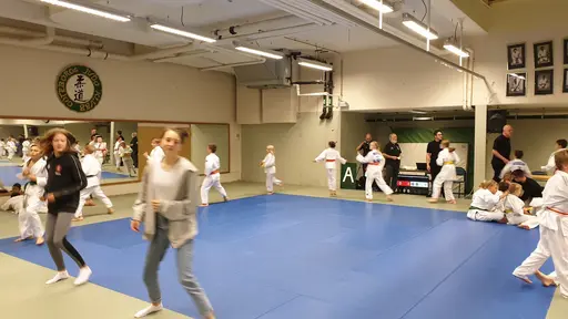 Samlade bilder från fina dagen