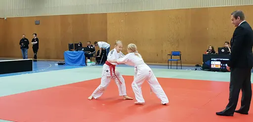 Blandade bilder från Judodraget i Färglanda