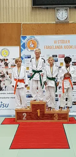 Blandade bilder från Judodraget i Färglanda