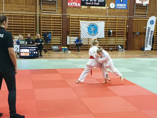 Blandade bilder från tävlingsdagen