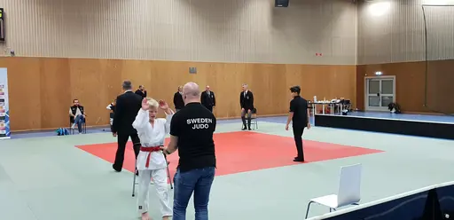 Blandade bilder från Judodraget i Färglanda