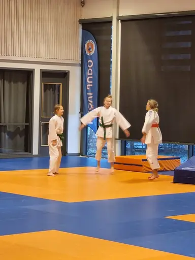 Blandade bilder från den roliga RM helgen