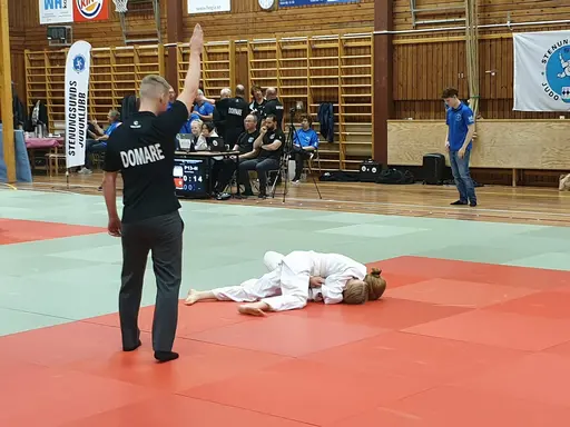 Blandade bilder från tävlingsdagen