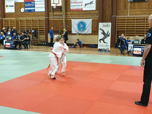 Blandade bilder från tävlingsdagen