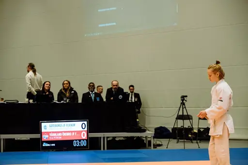 Blandade bilder från den roliga RM helgen