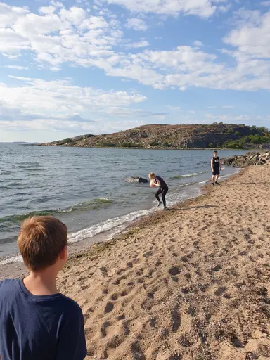 Blandade bilder från kvällen