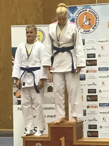 Blandade bilder från Judodraget i Färglanda