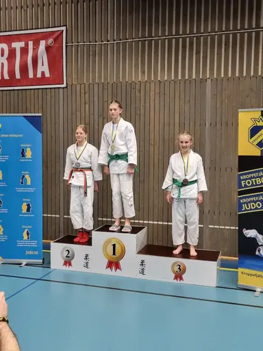 Blandade bilder från dagen i Dalsland