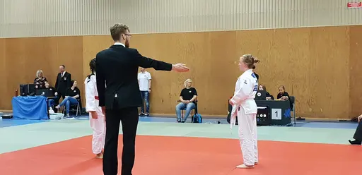 Blandade bilder från Judodraget i Färglanda