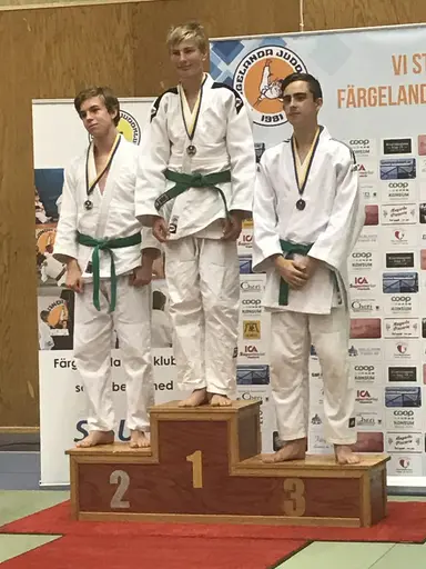 Blandade bilder från Judodraget i Färglanda