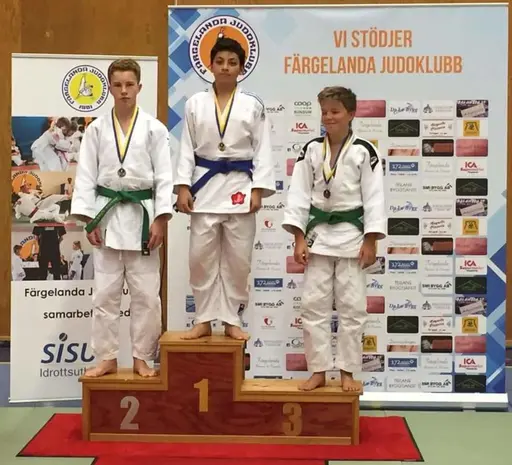 Blandade bilder från Judodraget i Färglanda
