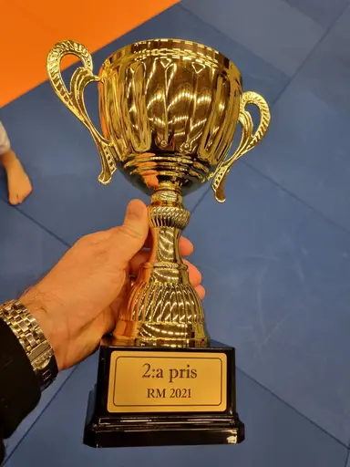 Blandade bilder från den roliga RM helgen