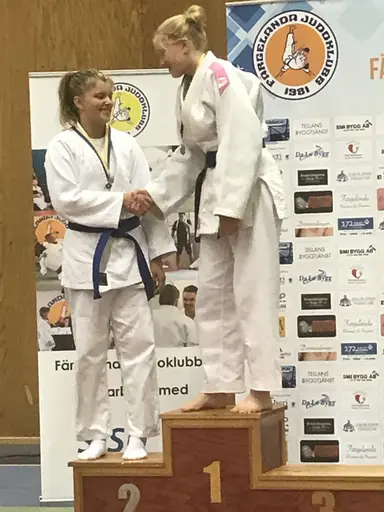 Blandade bilder från Judodraget i Färglanda