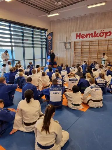 Blandade bilder från den roliga RM helgen