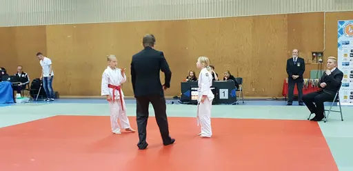 Blandade bilder från Judodraget i Färglanda